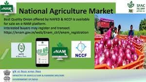 Screenshot of eNAM tool